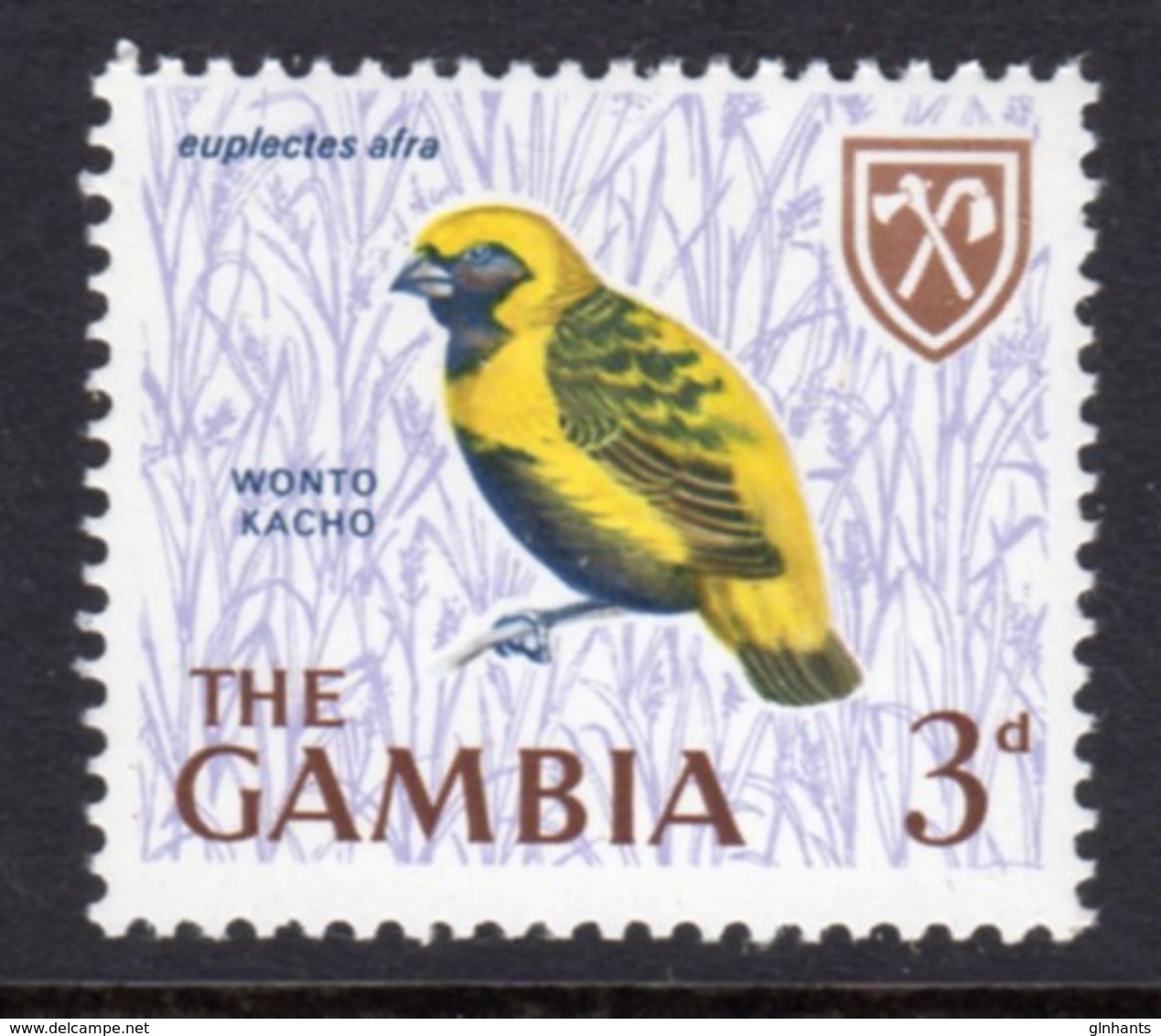 GAMBIA 1966 3d GOLDEN BISHOP BIRD STAMP FINE MNH ** SG 237 - Gambia (1965-...)