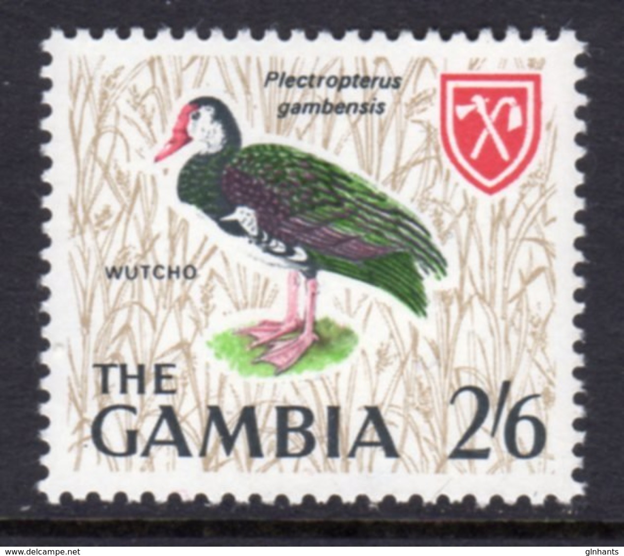 GAMBIA 1966 2/6d SPUR-WINGED GOOSE BIRD STAMP FINE MNH ** SG 242 - Gambia (1965-...)