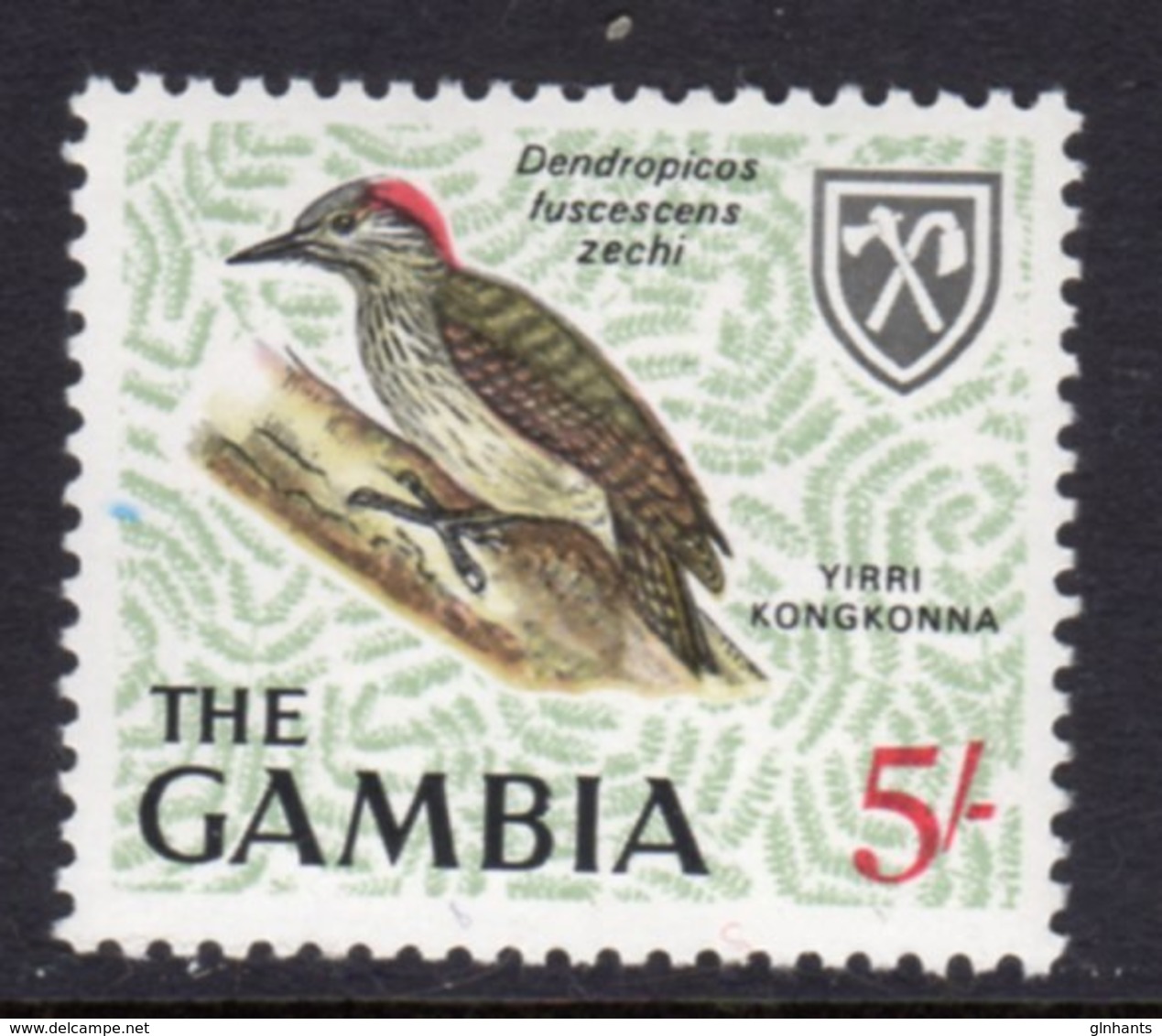 GAMBIA 1966 5/- CARDINAL WOODPECKER BIRD STAMP FINE MNH ** SG 243 - Gambia (1965-...)