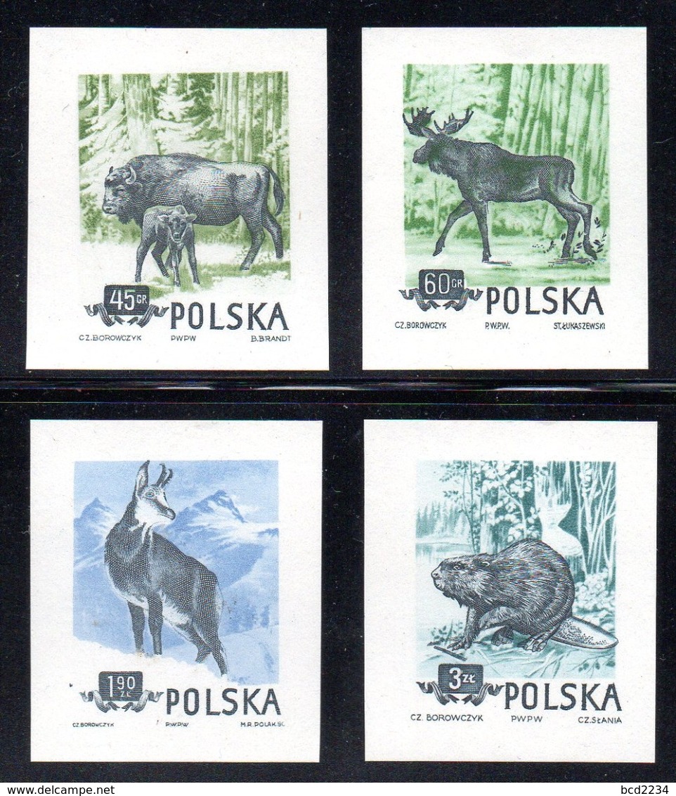 POLAND 1954 SLANIA RARE BEAVER & ANIMALS COLOUR PROOF COMPLETE SET OF 4 SINGLES Bison Beaver Deer Moose Antelope Goat - Probe- Und Nachdrucke