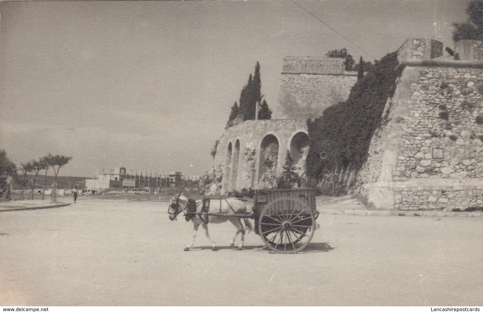 Postcard Tarragona ? Horse And Cart [ Note Plain Back ] My Ref  B13641 - Tarragona