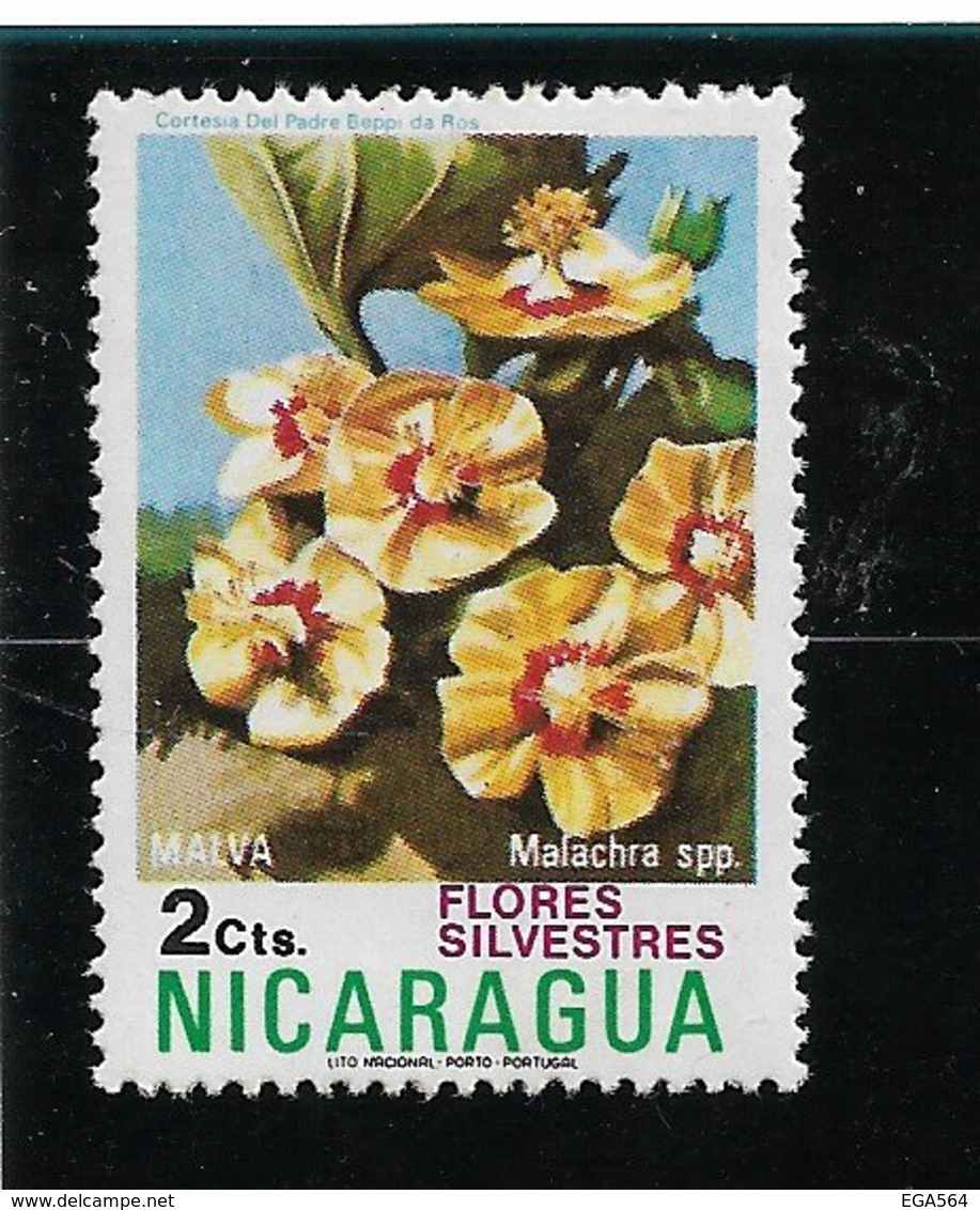 B8 - Nicaragua Poste 962 ** MNH De 1974 - Flore - Malachra Spp - - Nicaragua