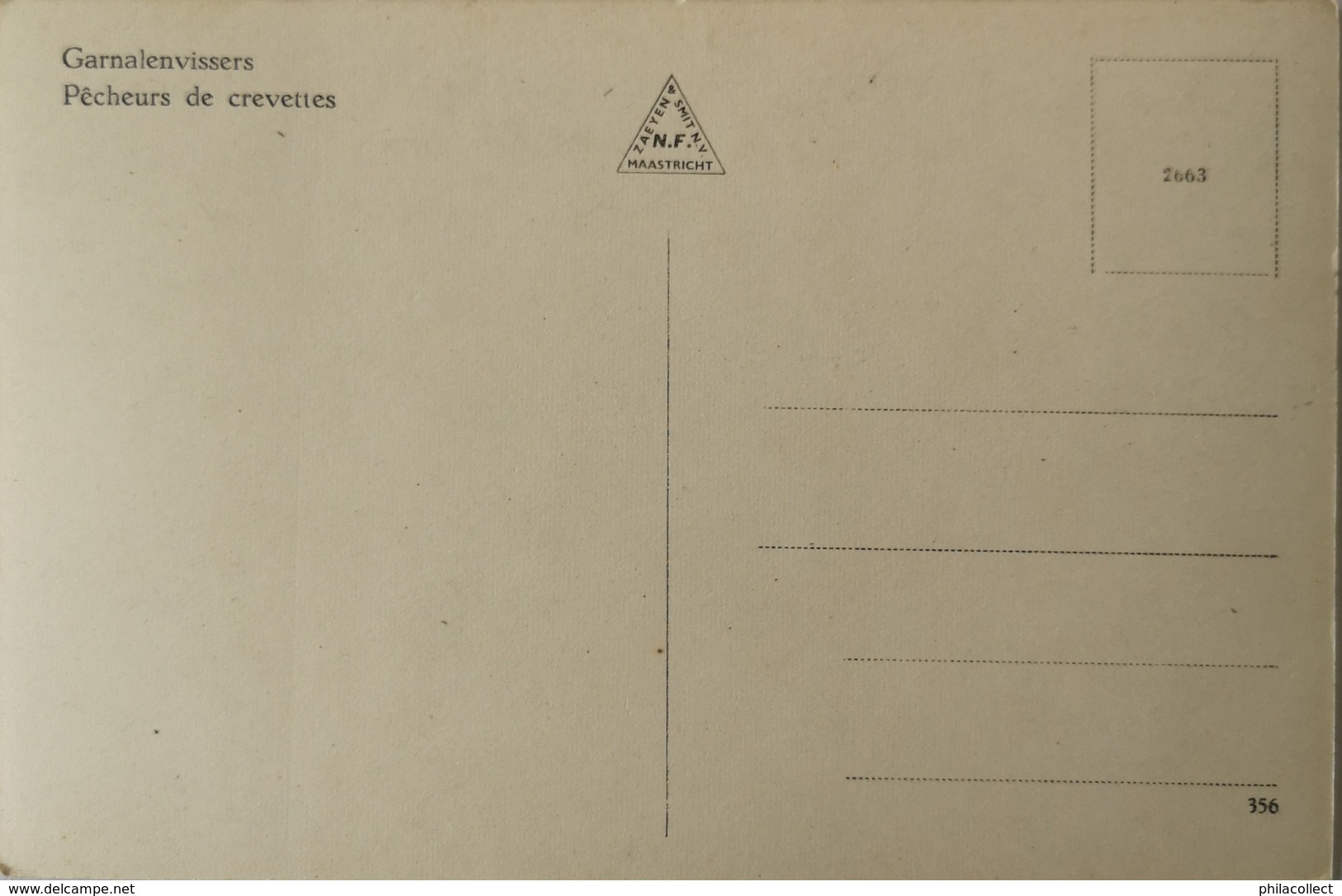 Kust // Garnalenvissers - Pecheurs De Crevettes ( Fotokaart) Ca 1956 (niet Standaard) - Andere & Zonder Classificatie