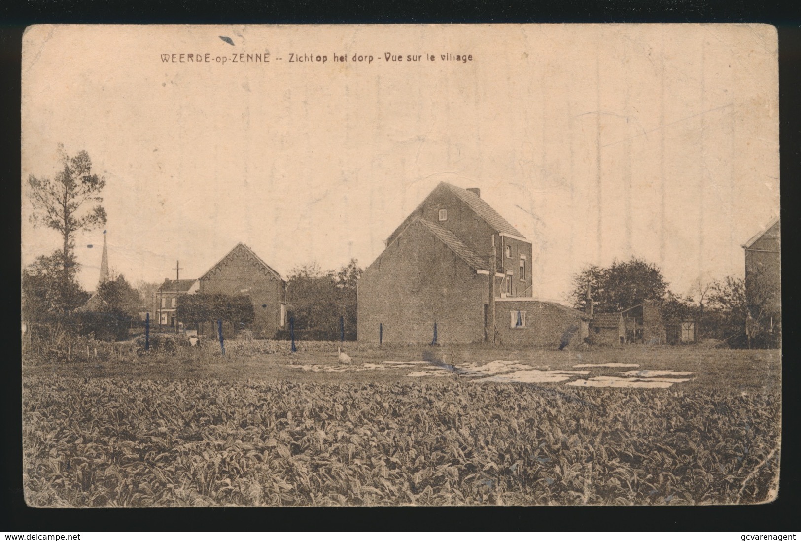 WEERDE OP ZENNE  ZICHT OP HET DORP - Zemst