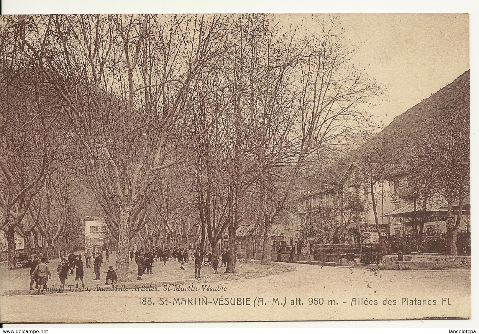 06 - SAINT MARTIN VESUBIE / ALLEES DES PLATANES - Saint-Martin-Vésubie