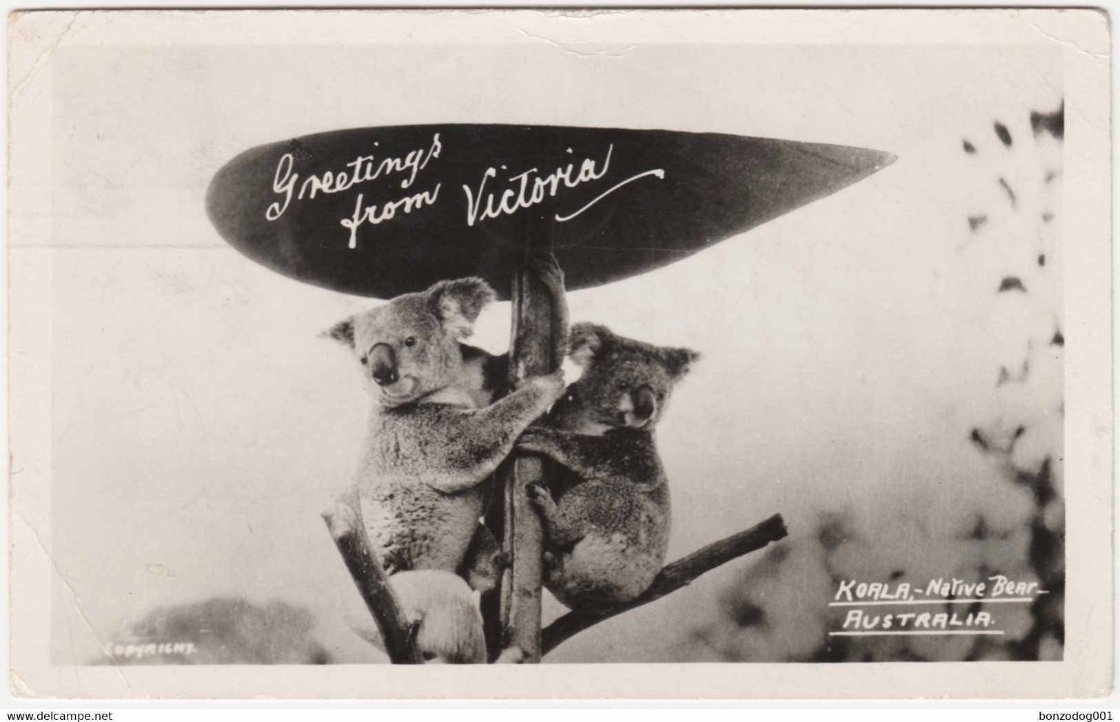 Mowbray Series Postcard Greetings From Victoria, Australia. Koala Bear - Altri & Non Classificati