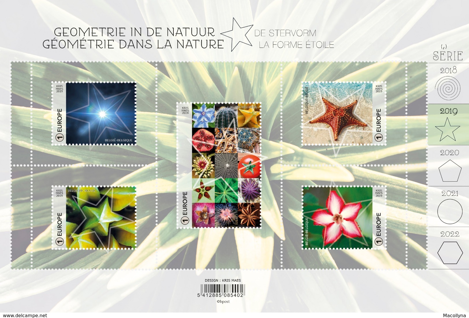 Géométrie Dans La Nature, Geometrie In De Natuur** De Stervorm - La Forme étoile MNH  Belgie - Belgique 2019 - Neufs