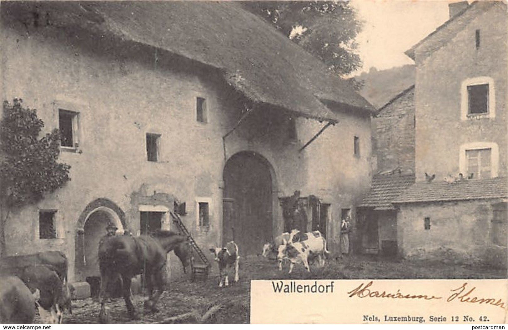 WALLENDORF - Intérieur De Ferme - Ed. Nels Série 12 N. 42. - Autres & Non Classés