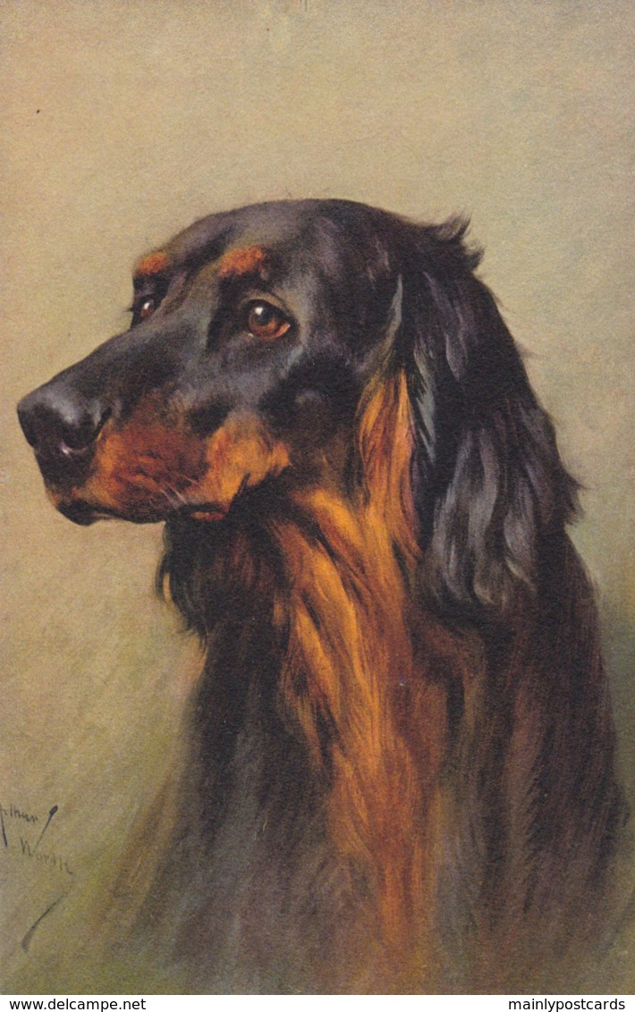 AS91 Animals - Dog - Setter, Artist Signed Arthur Wardle - Perros