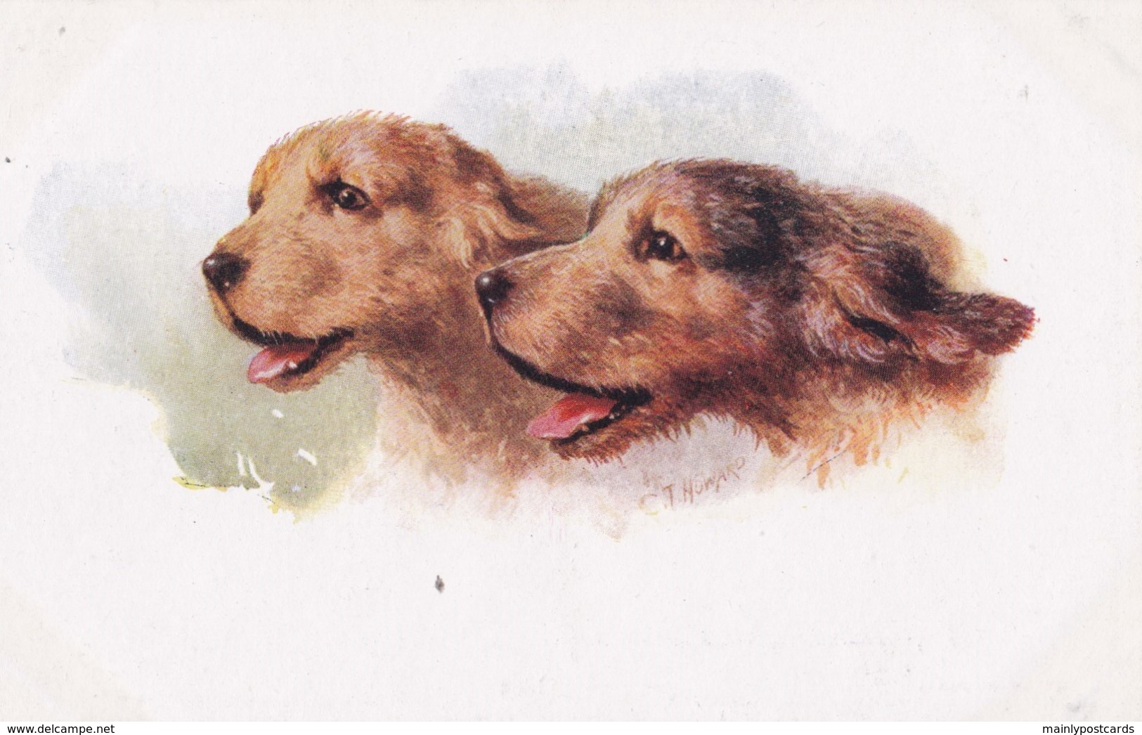 AS91 Animals - Dog - Otter Hounds, Artist Signed C.T. Howard - Dogs