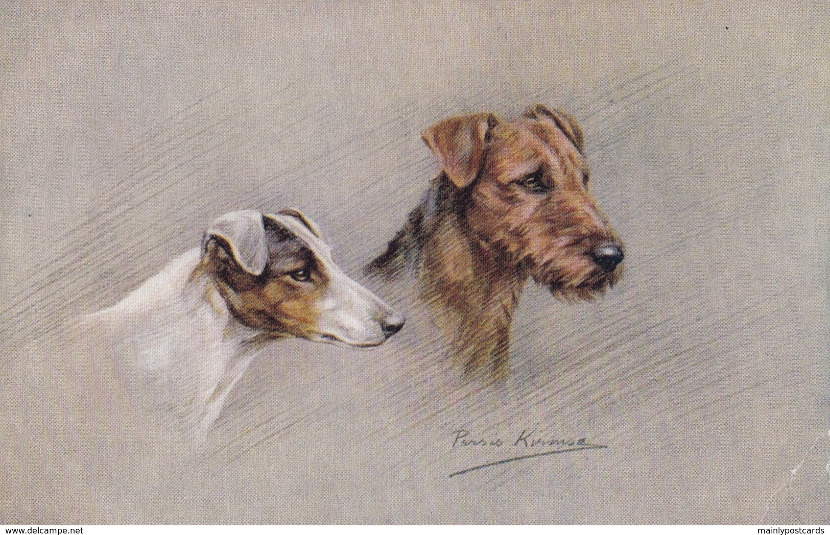 AS91 Animals - Dog - Terriers, Artist Signed Persis Kirmse - Chiens