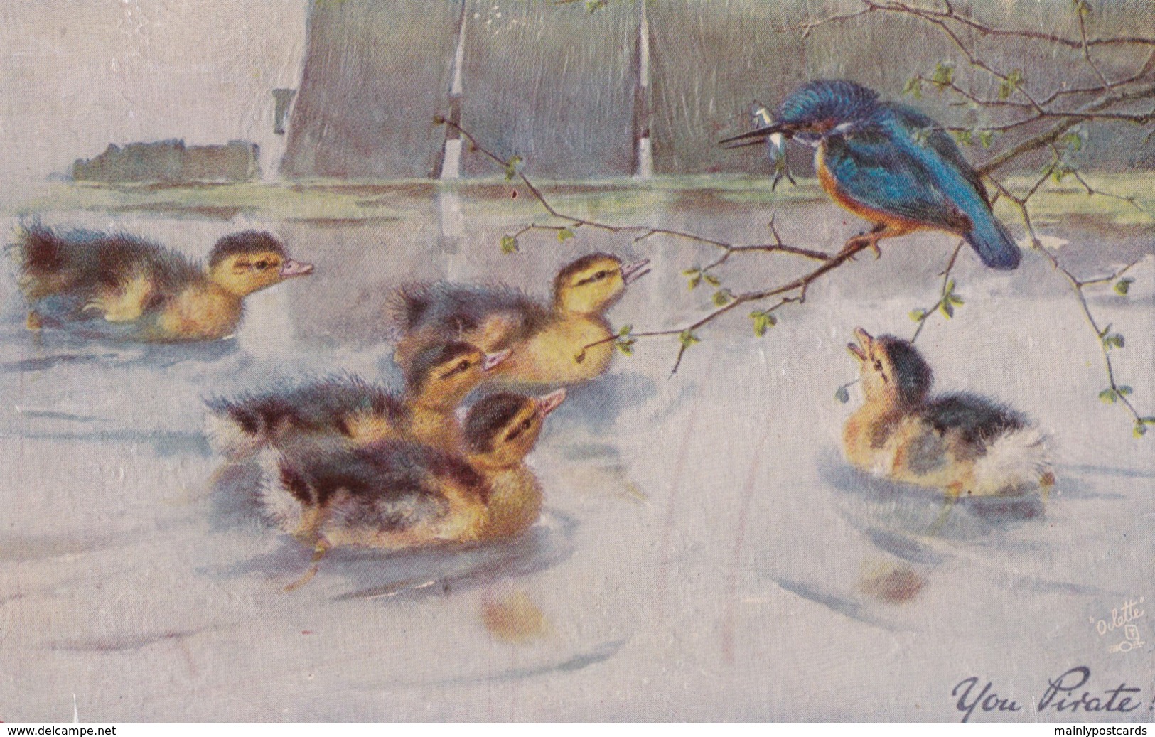 AS91 Animals - Birds - Kingfisher And Ducklings "You Pirate", Tuck Oilette - Birds