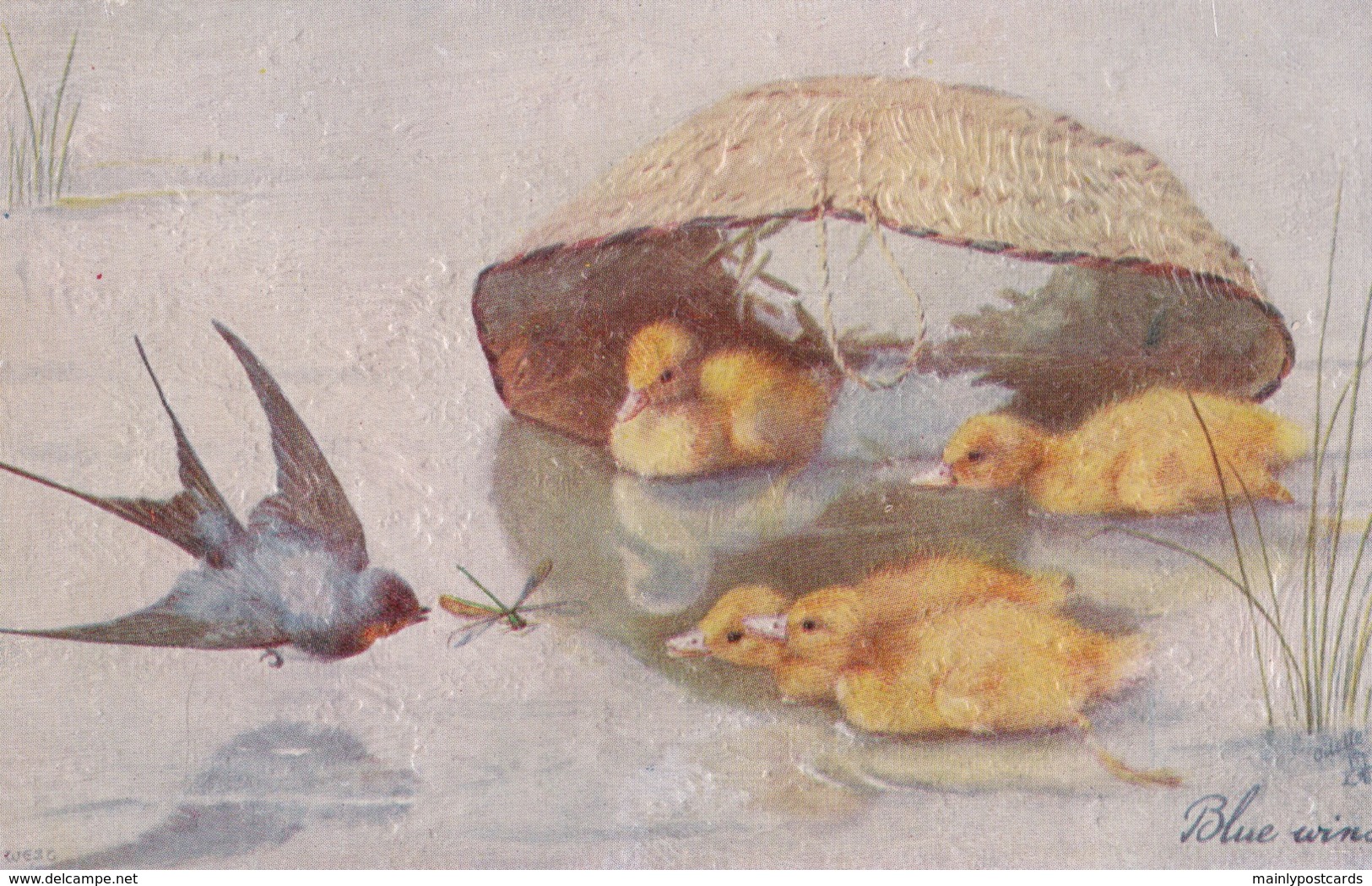 AS91 Animals - Birds - Swallow And Ducklings "Blue Wings", Tuck Oilette - Oiseaux