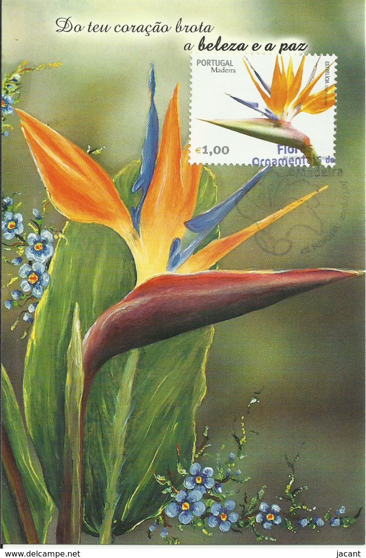 Cartes Maximum - Portugal - Fleurs - Estrelícia - Ave Do Paraíso - Strelitzia Reginae - Autres & Non Classés