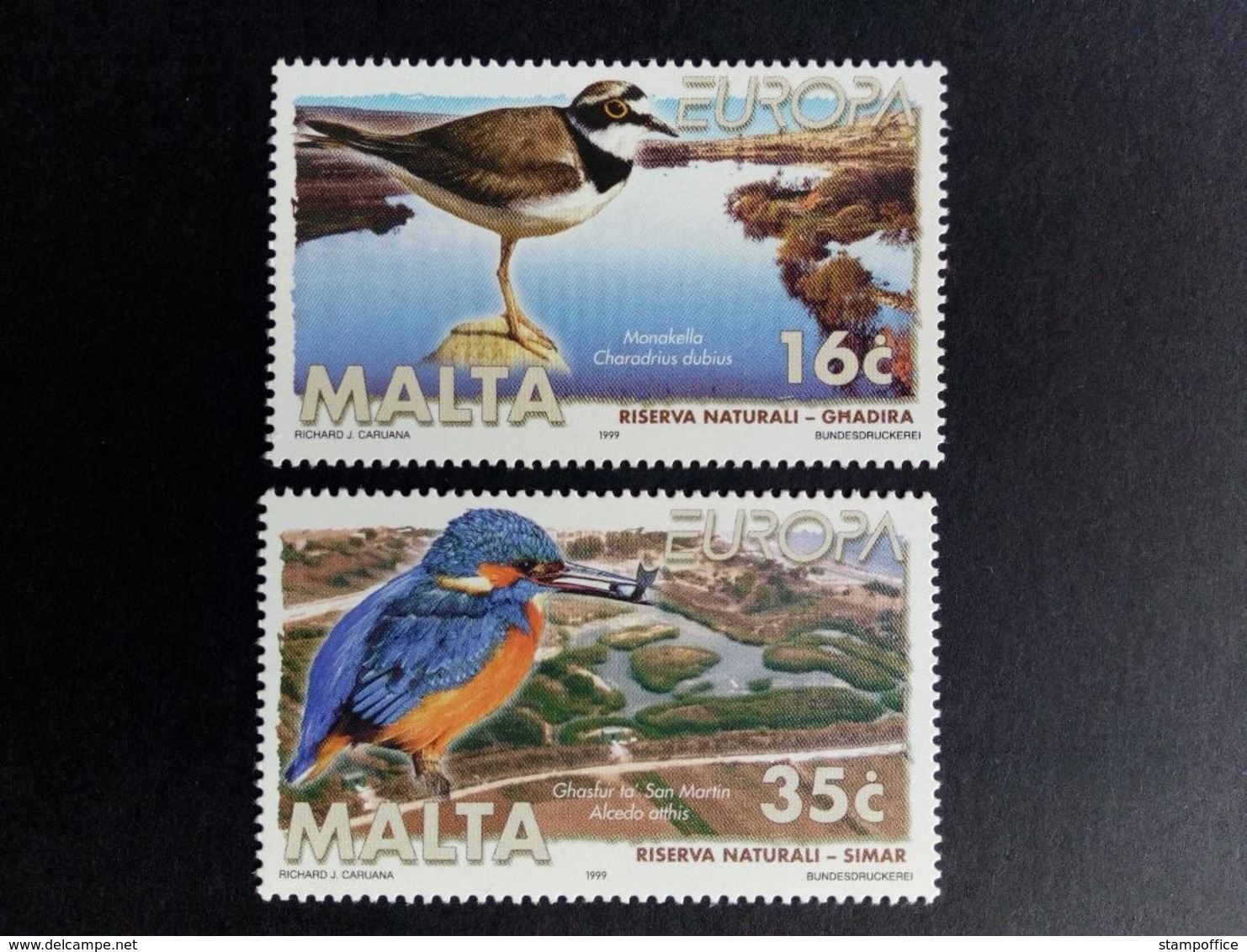 MALTA MI-NR. 1065-1066 ** EUROPA 1999 NATIONALPARKS EISVOGEL FLUSSREGENPFEIFER - 1999