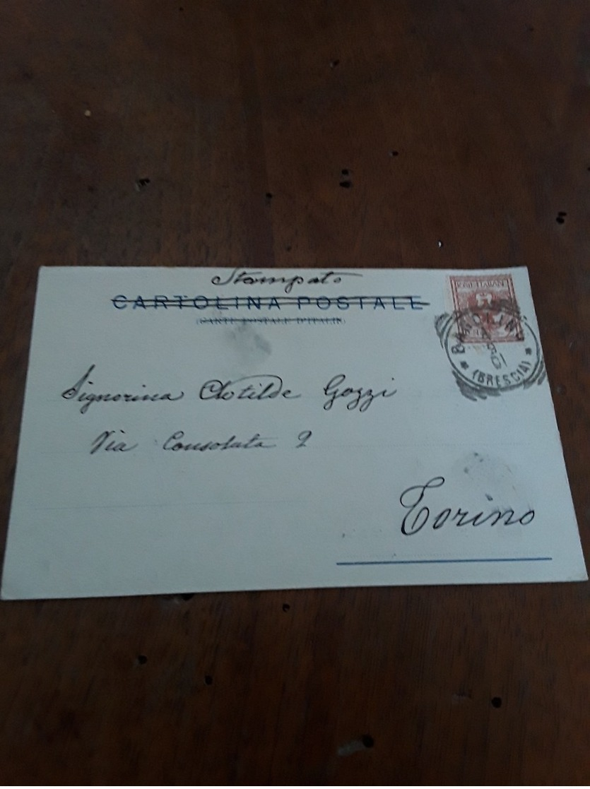 Cartolina Postale 1901, Val Sabbia,  Bagolino Ponte Selva - Brescia