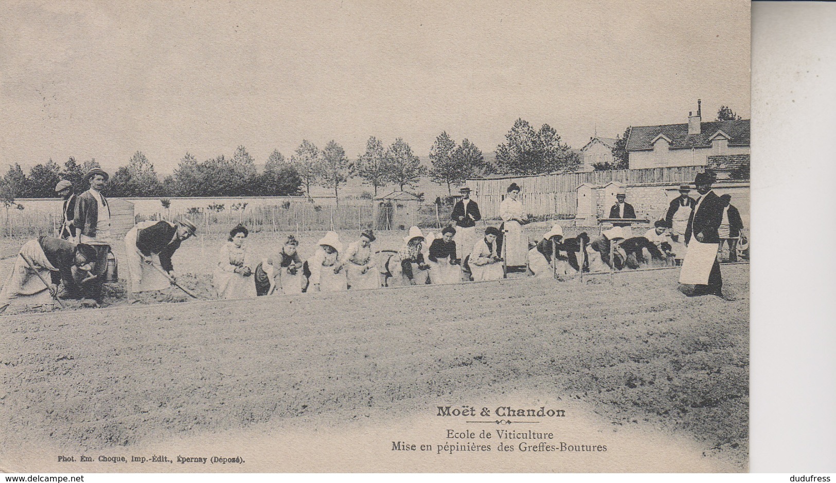 MOET   CHANDON   ECOLE DE VITICULTURE - Autres & Non Classés