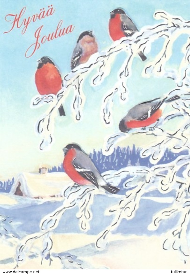 Bird - Birds - Oiseau - Vogel - Uccello - Pássaro - Bullfinches In Winter Landscape - Other & Unclassified