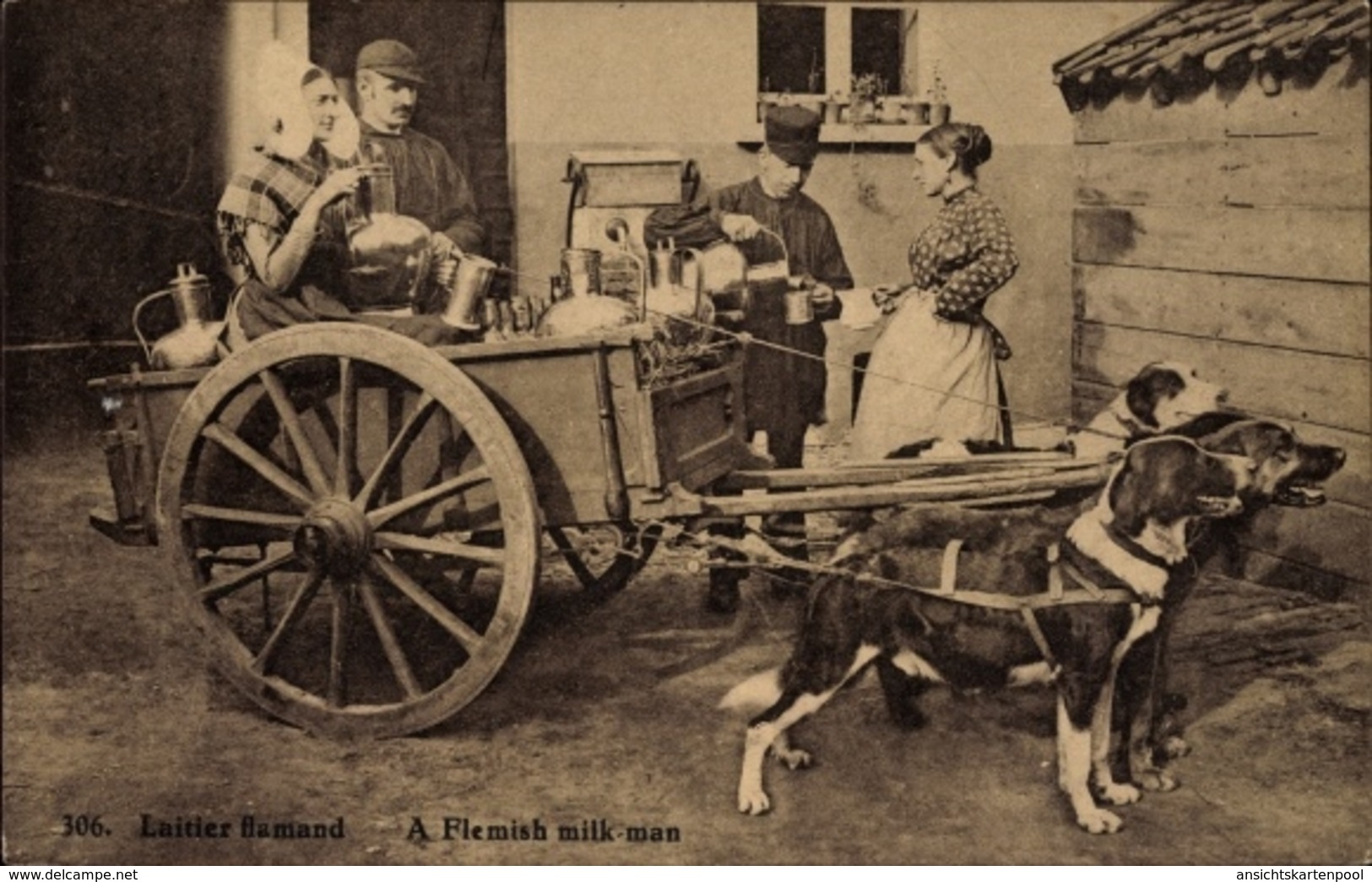 Cp Laitier Flamand, Flemish Milkman, Flämischer Milchmann, Arbeitshunde - Bruxelles-ville