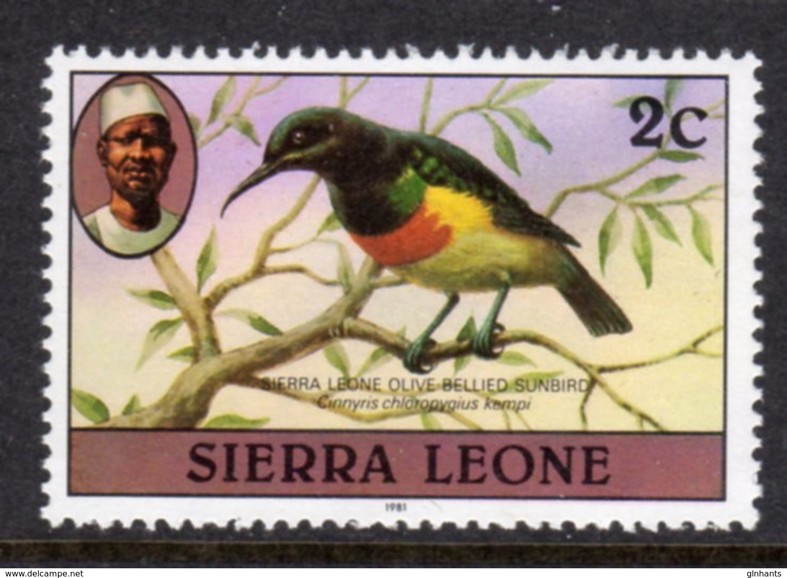 SIERRA LEONE - 1982 2c OLIVE-BELLIED SUNBIRD BIRD STAMP WITH IMPRINT DATE FINE MNH ** SG 623B - Sierra Leone (1961-...)