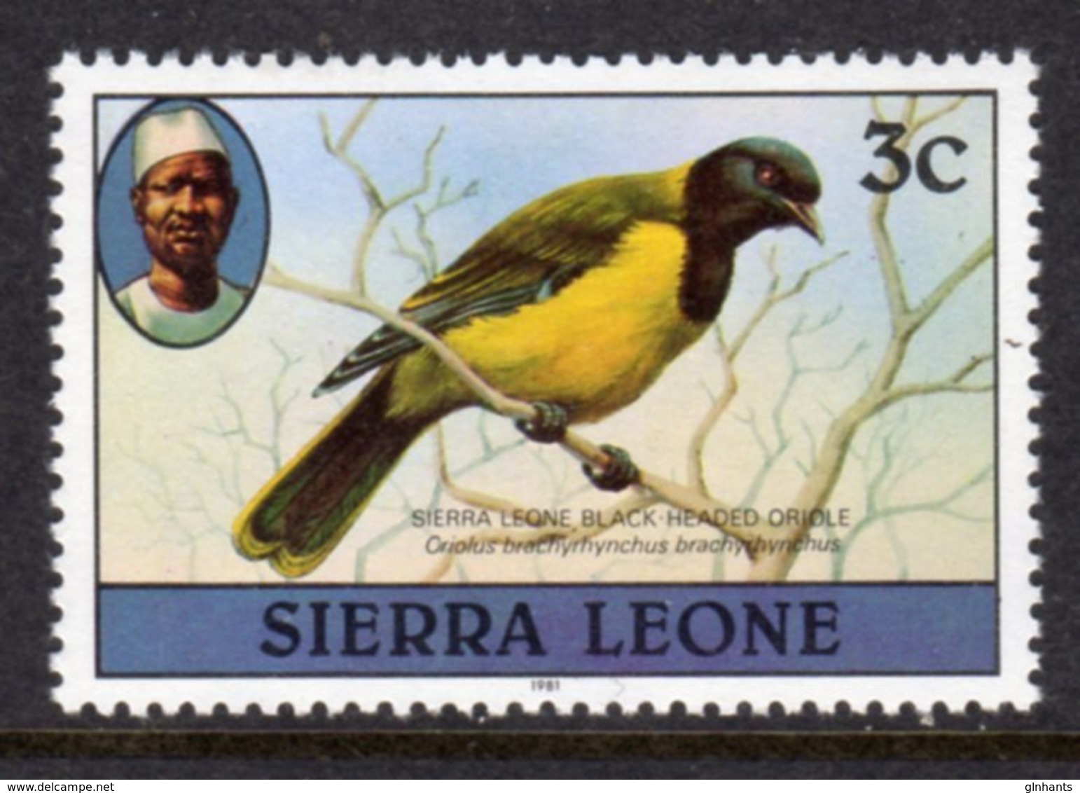 SIERRA LEONE - 1982 3c WESTERN BLACK-HEADED ORIOLE BIRD STAMP WITH IMPRINT DATE FINE MNH ** SG 624B - Sierra Leone (1961-...)