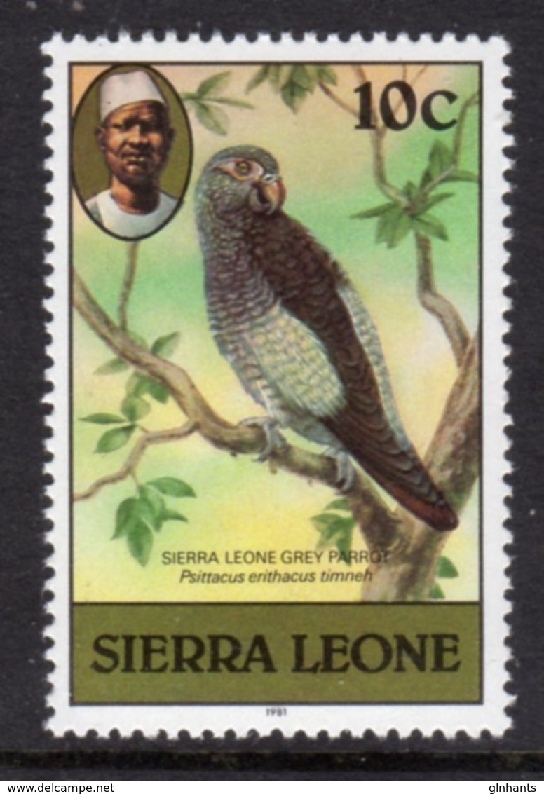 SIERRA LEONE - 1981 10c GREY PARROT BIRD STAMP WITH IMPRINT DATE FINE MNH ** SG 627B - Sierra Leone (1961-...)