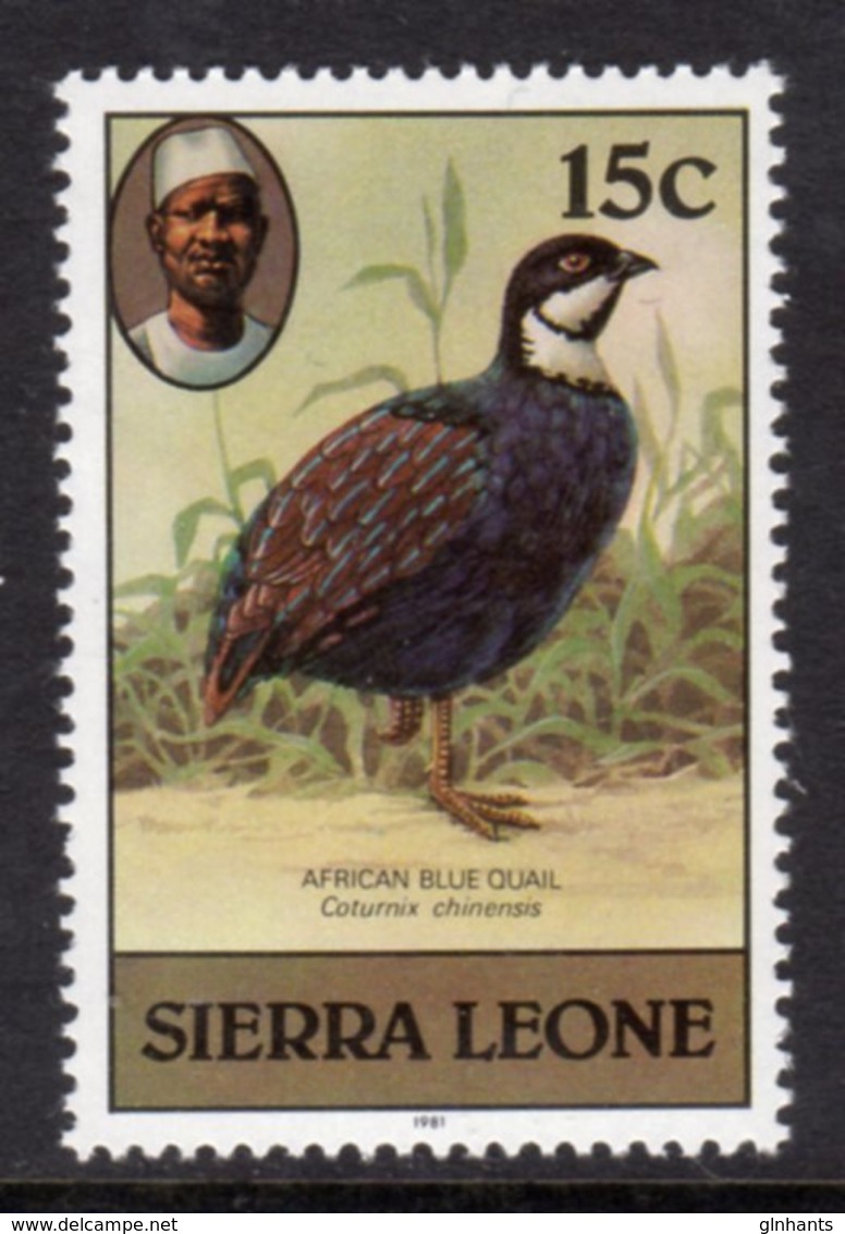 SIERRA LEONE - 1981 15c BLUE QUAIL BIRD STAMP WITH IMPRINT DATE FINE MNH ** SG 628B - Sierra Leone (1961-...)