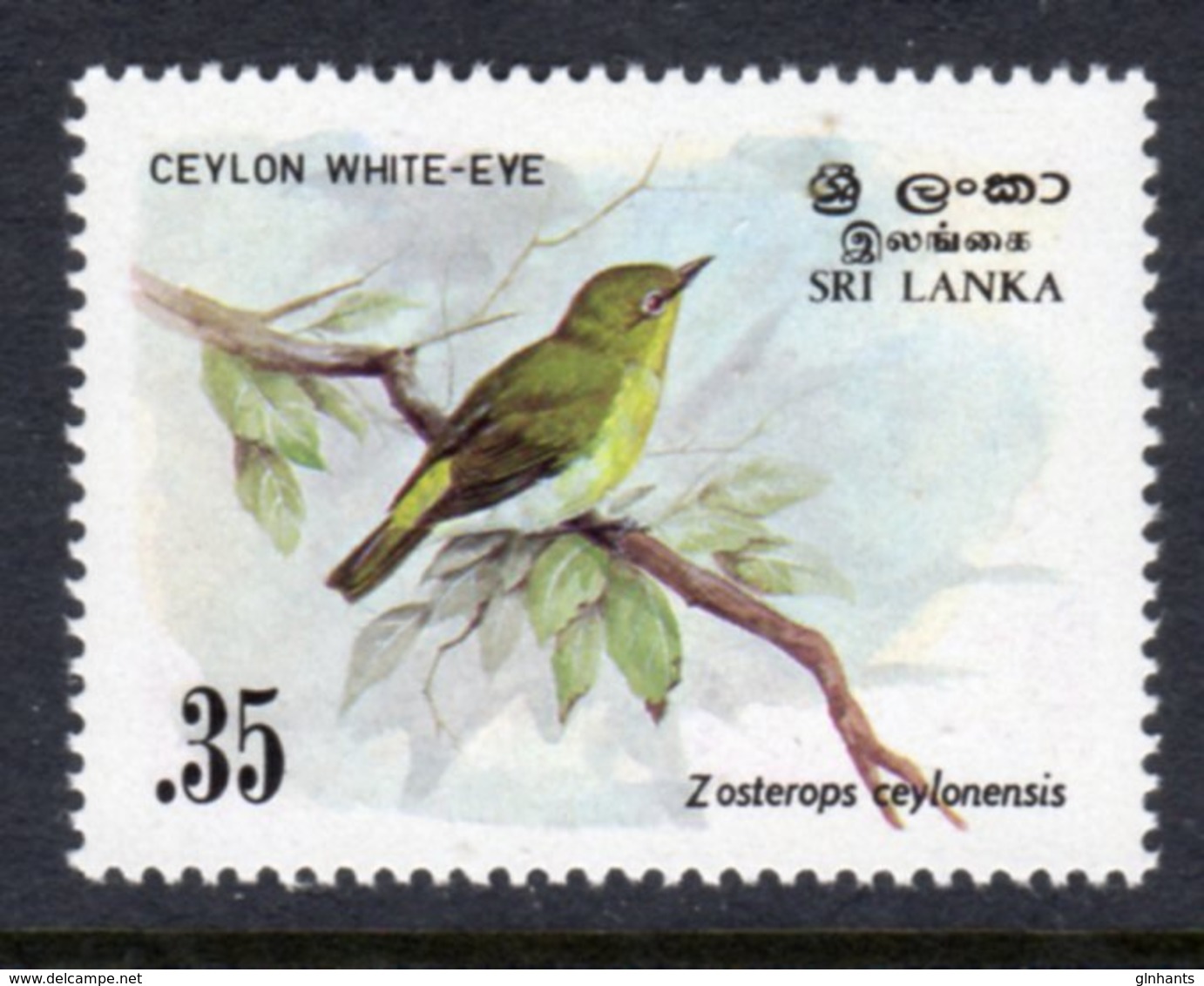 SRI LANKA - 1983 35c LARGE WHITE-EYE BIRD STAMP FINE MNH ** SG 828 - Sri Lanka (Ceylon) (1948-...)