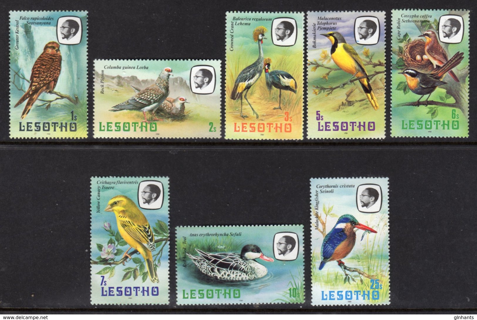 LESOTHO - 1981 SHORT SET OF BIRD STAMPS TO 25S (8V) FINE MNH ** SG 437-434 - Lesotho (1966-...)