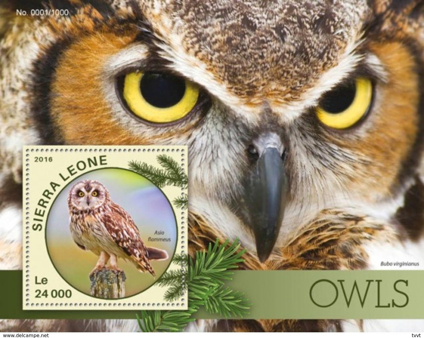 Sierra Leone, 2016. [srl16105] Owls (s\s+m\s) - Owls