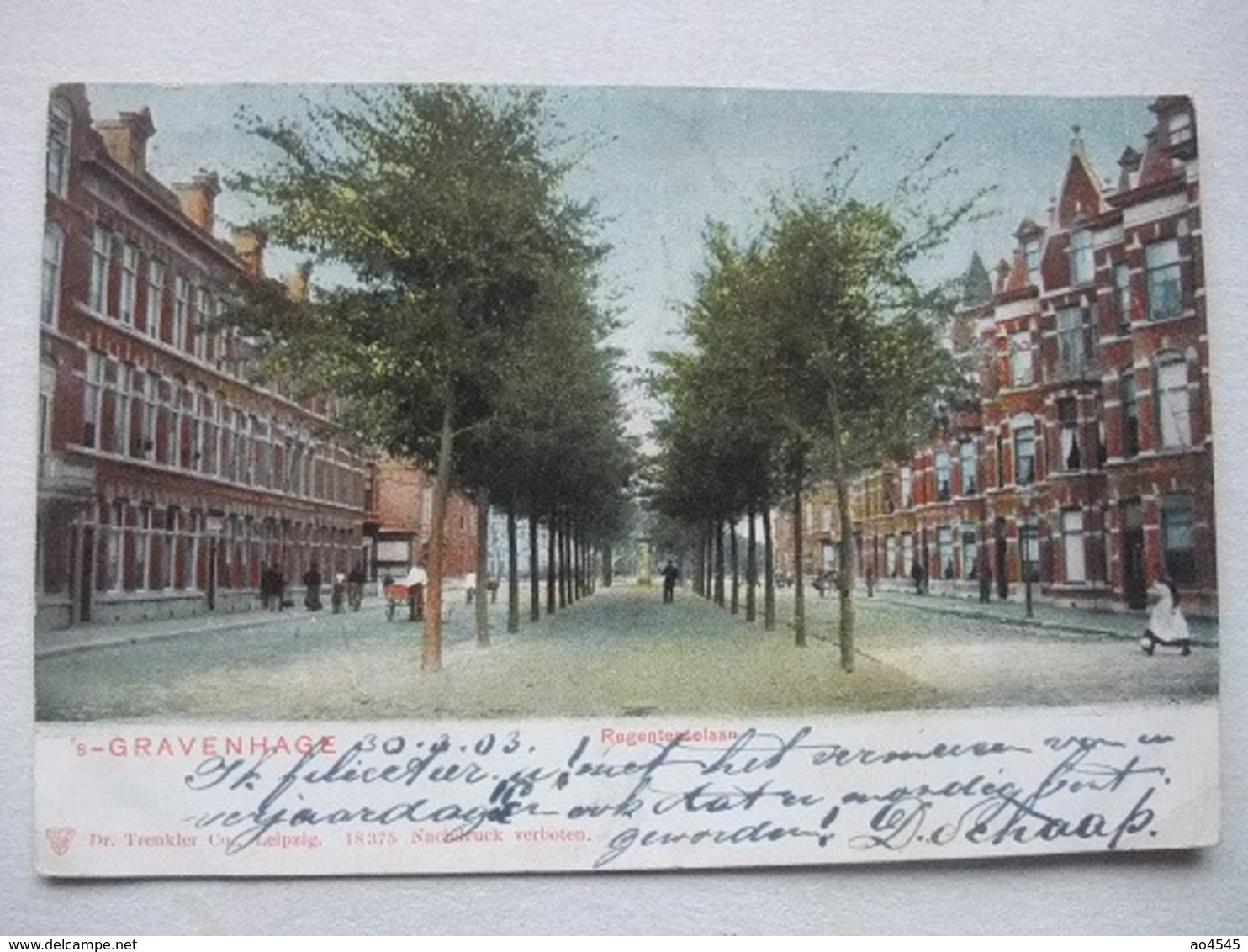 P131 AK Den Haag - Regentesselaan - 1903 - Den Haag ('s-Gravenhage)