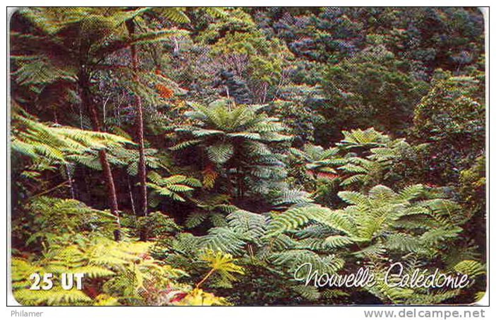 Caledonie Caledonia Telecarte Phonecard, NC105 Fougere Plante Foret, 10000 Ex, Ut. Tres Bon Etat, Côte 20 Euros - Nouvelle-Calédonie