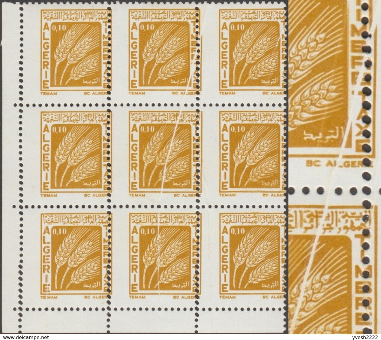 Algérie 1972 Y&T Taxe 65. Timbre-taxe En Bloc De 9. Curiosité, Trois Plis Accordéon Et Piquage à Cheval. Épis De Blé - Agriculture