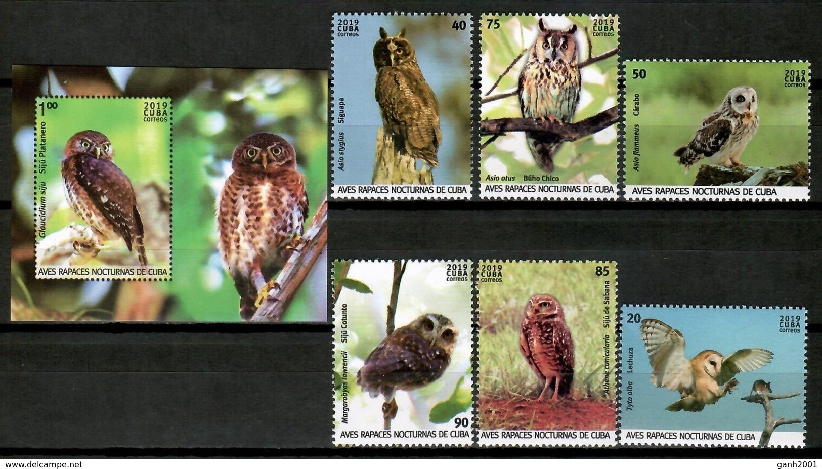 Cuba 2019 / Birds Owls MNH Aves Búhos Oiseaux Vögel / Cu14600  C4-7 - Other & Unclassified
