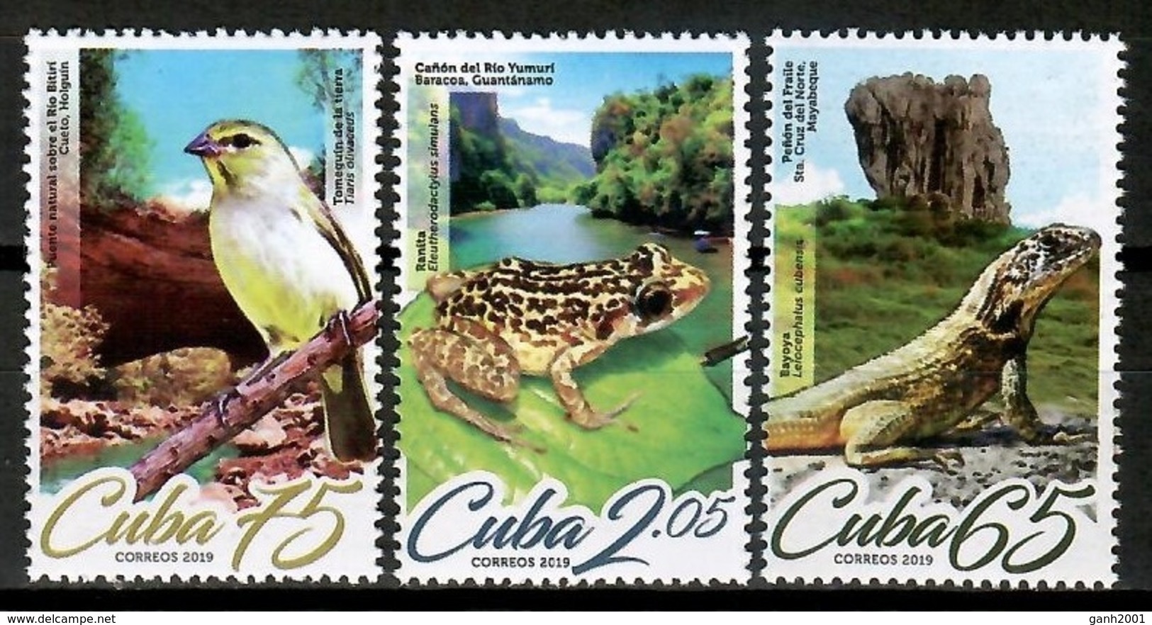 Cuba 2019 / Birds Reptiles Frog MNH Aves Rana Vögel Frosch / Cu14601  C4-6 - Otros & Sin Clasificación