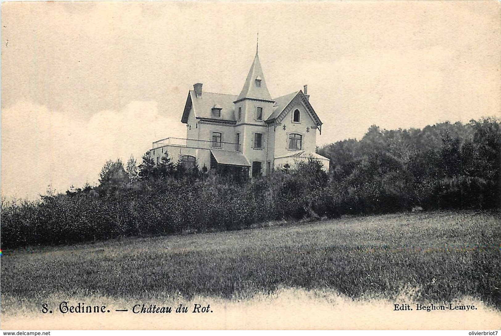 Belgique - Gedinne - Château Du Rot - Gedinne