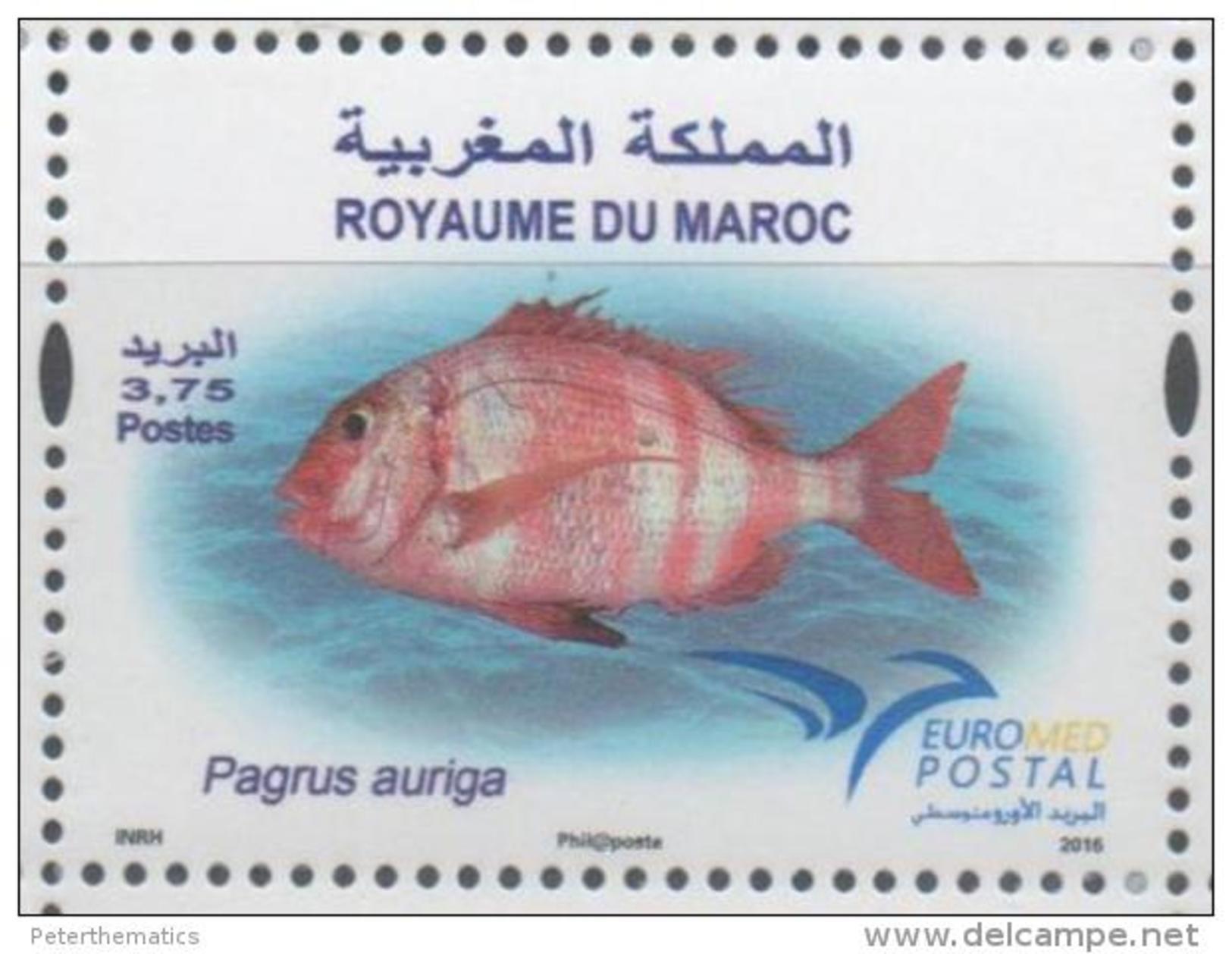 MOROCCO , 2016, MNH, JOINT ISSUE, EUROMED ,FISH, 1v - Fishes