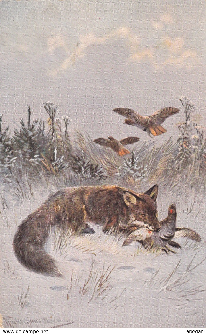 Hunting Chasse Partridge Fuchs Renhart Fox  A.Müller  Old Dog  Cpa.1905 - Cani