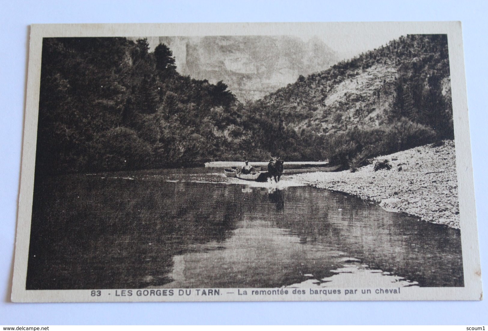 Les Gorges Du Tarn - La Remontée Des Barques à Cheval - Other & Unclassified