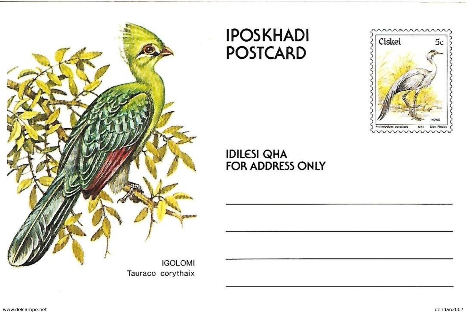 Ciskei (South Africa )  - Mint - 1981 - Postal Stationary -   Knysna Turaco    Tauraco Corythaix - Cuco, Cuclillos