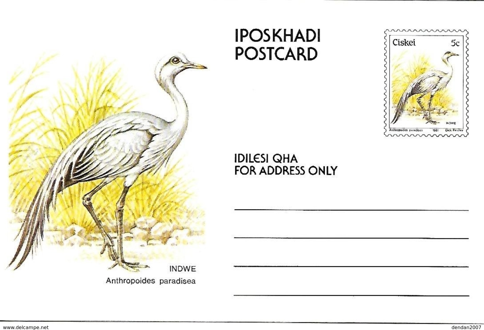 Ciskei (South Africa )  - Mint - 1981 - Postal Stationary -      Blue Crane    Grus Paradisea - Kranichvögel