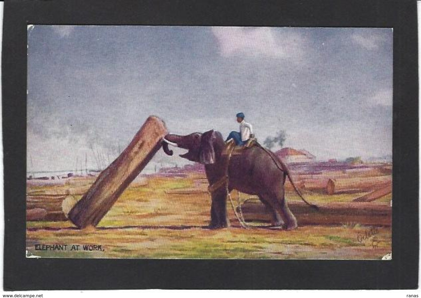 CPA éléphant écrite éditeur Tuck's Oilette - Elephants