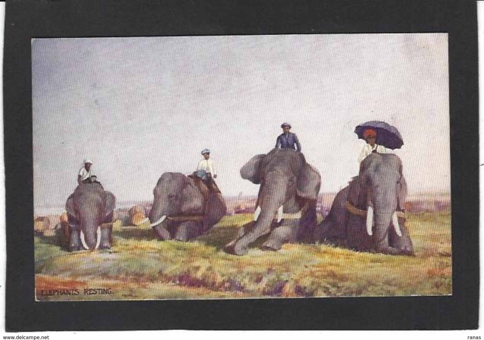 CPA éléphant écrite éditeur Tuck's Oilette - Elephants