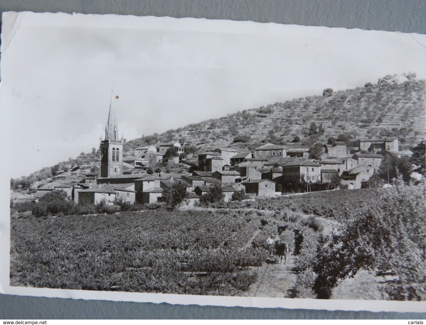 Cpsm 07 Ardeche SAINT SAUVEUR DE CRUZIERES . - Autres & Non Classés