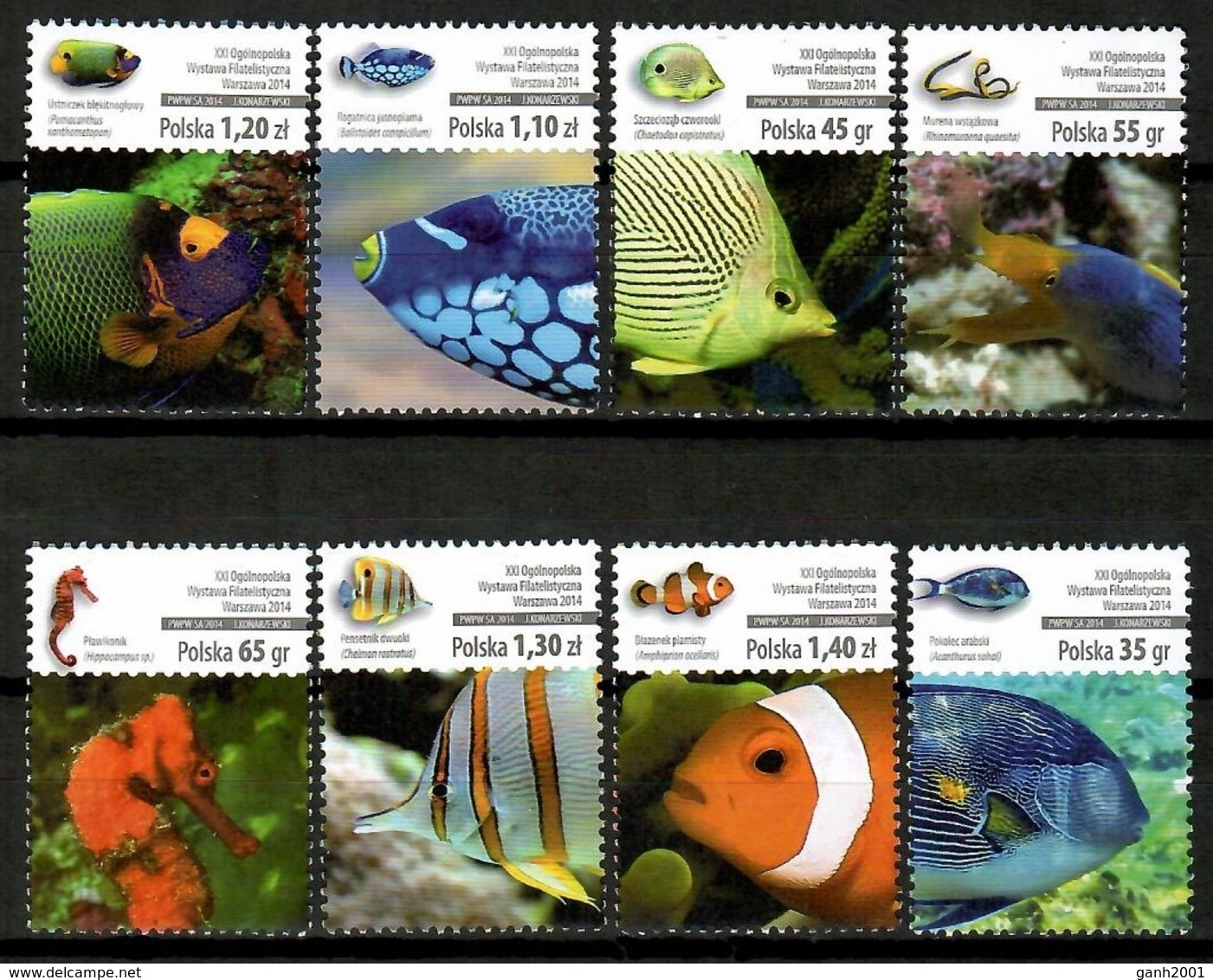 Poland 2014 Polonia / Fish MNH Fische Peces Poissons / Cu12211  36-14 - Pesci