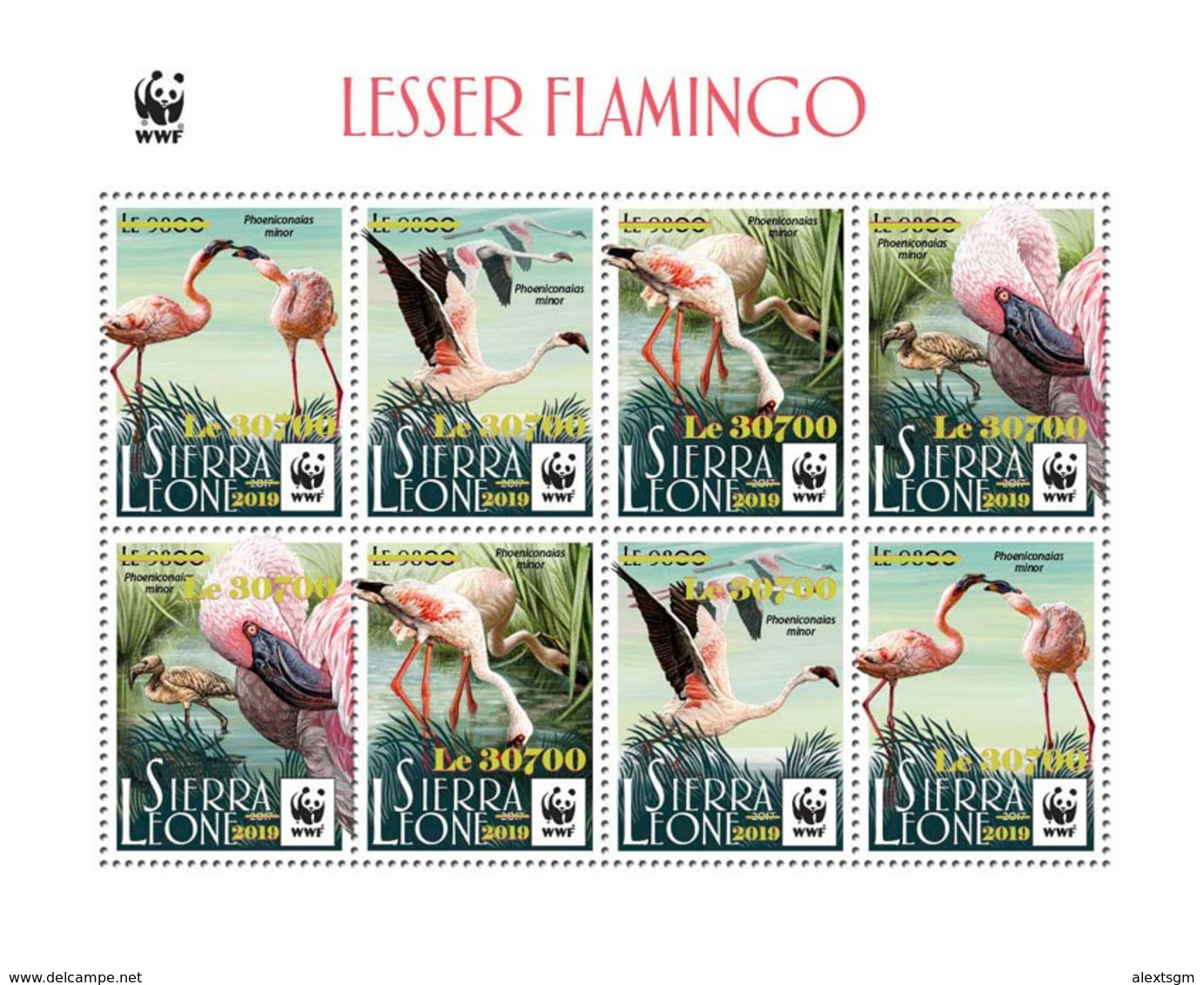 SIERRA LEONE 2019 - WWF Flamingo Gold Overprint, M/S 2 Sets. Official Issue - Sonstige & Ohne Zuordnung