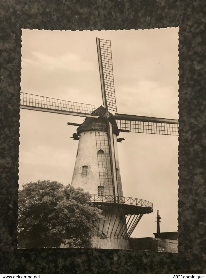 Deerlijk - Molen  - Mill - Muhle - Moulin - Deerlijk