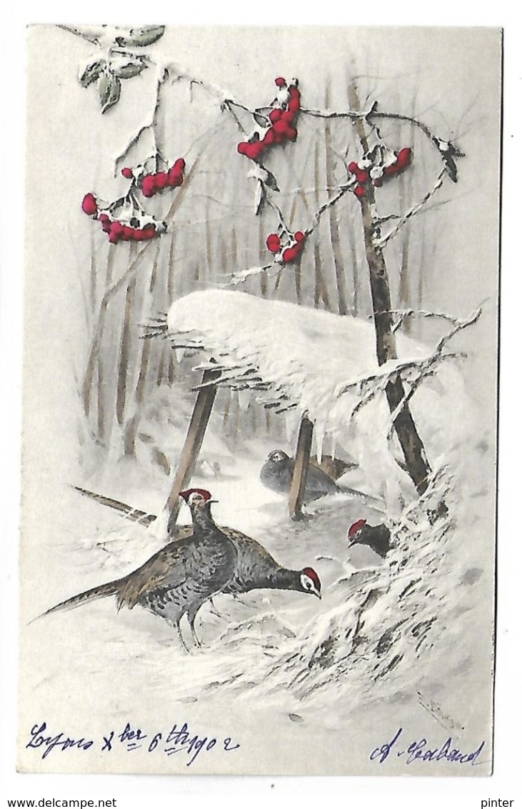 Oiseaux Et Paysage Neigeux - Illustrateur MM VIENNE - Vienne