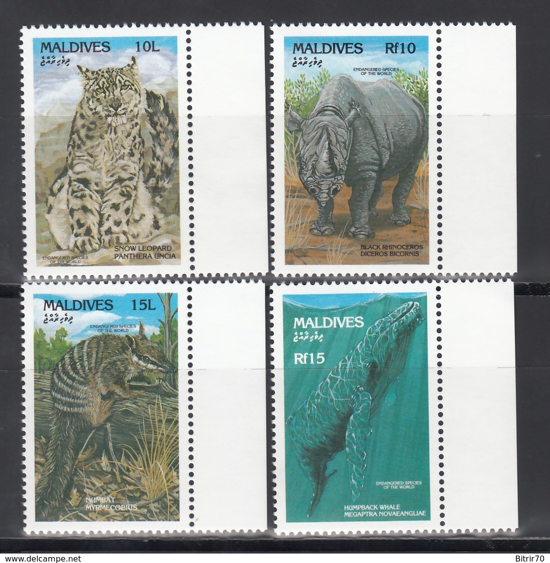 MALDIVES, 1993   Yvert Nº 1654 / 1657,  MNH, Mamíferos - Otros & Sin Clasificación