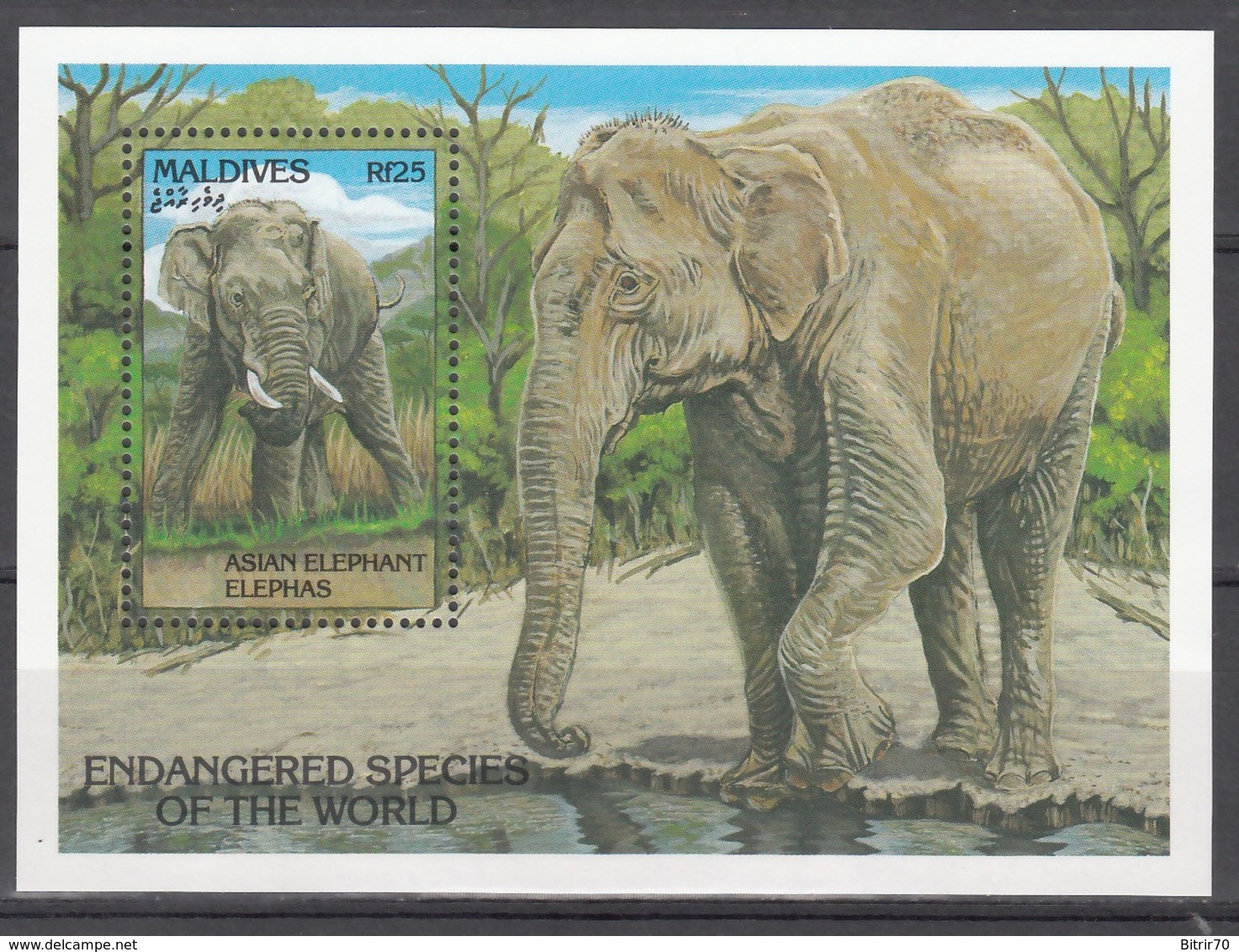 MALDIVES, 1990  Yvert Nº HB 271  MNH,  Elefante Asiático (Elephas Maximus) - Elefanti